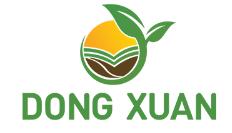 Tm Dong Xuan Company Limited