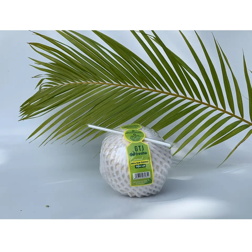 Ready To Drink 100% Fresh Natural Top Grade Quality Cut Shape Young Convenient Tasteful Diamond Coconut From Vietnam