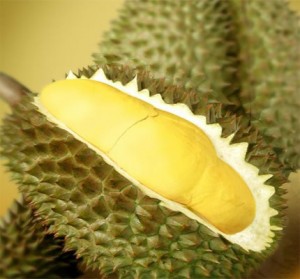 2019 Fresh Durian