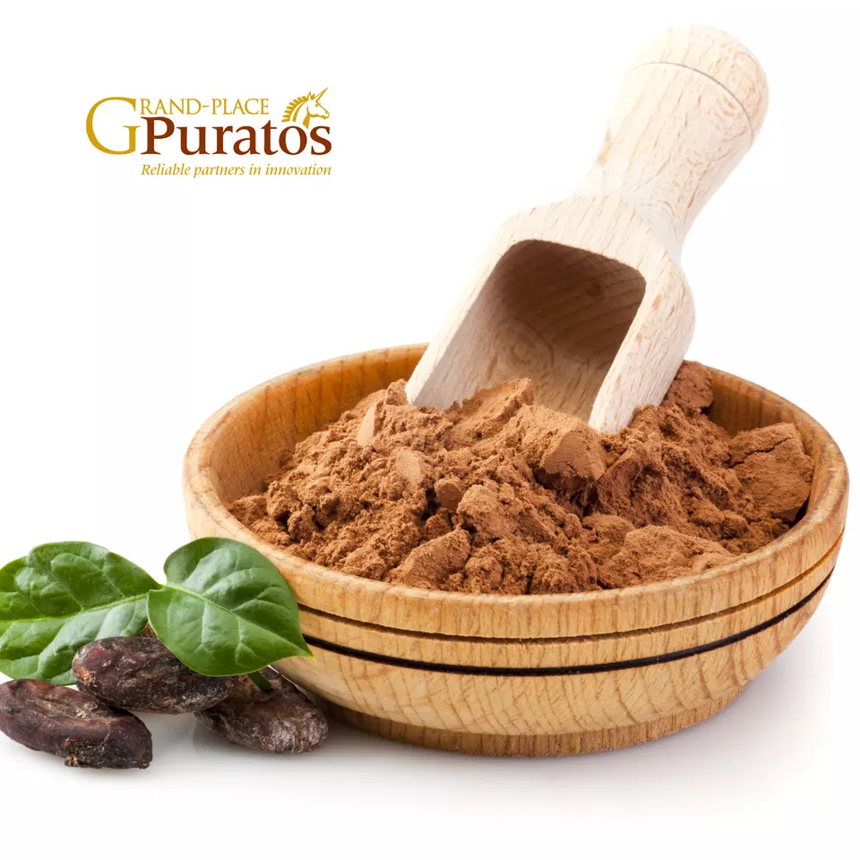 HALAL Cocoa Powder Made From Fully Fermented Asian Cocoa Beans