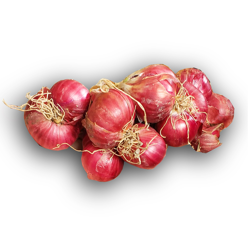 Wholesale Fresh Onion Shape Round Vegetables High Quality Purple Origin Type