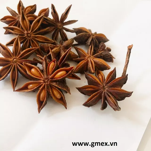 Vietnam new season of STAR ANISE high quality STAR ANISE cheapest price STAR ANISE Herbal oil