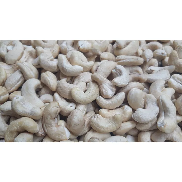 Cashew Nuts Nuts Hot Selling Organic Nuts Using For Food ISO HACCP Certification Packaging Carton & Vacuum Pe Made In Vietnam