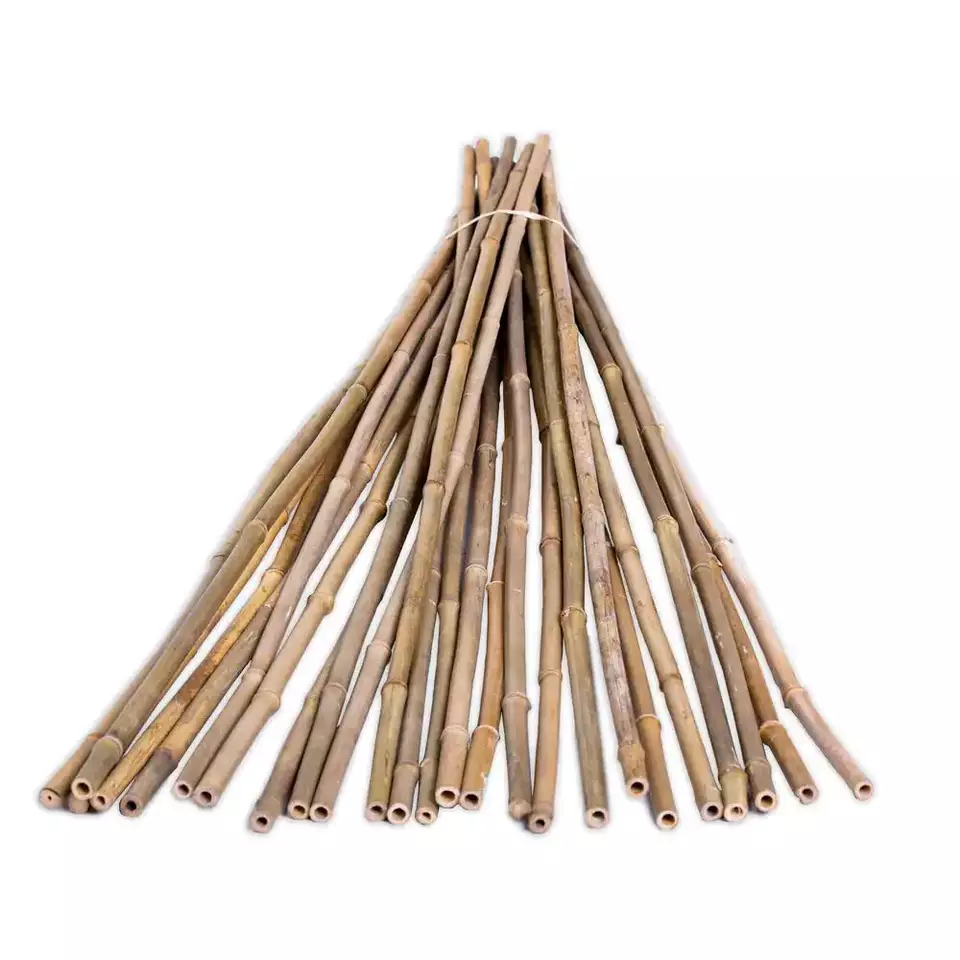 Whole split Vietnam treated natural bamboo raw materials for construction and gardening bamboo poles stakes