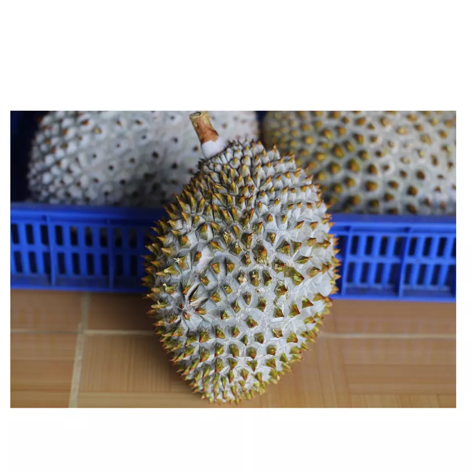 Top Selling 12 Months Shelf Life High Quality Natural Color IQF Freezing Process Fresh Durian Fruit From Vietnam