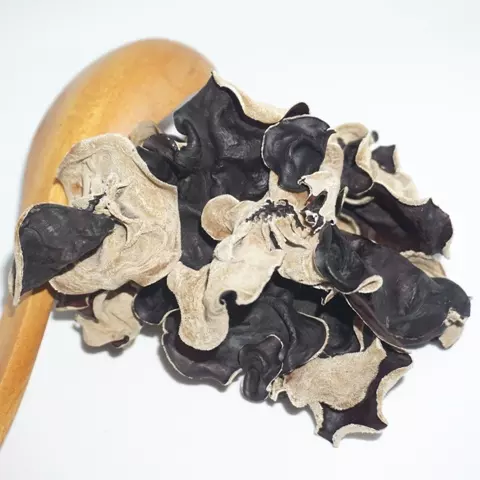 *HOT 2019* Vietnam dried black fungus with best quality for food - FUNGUS