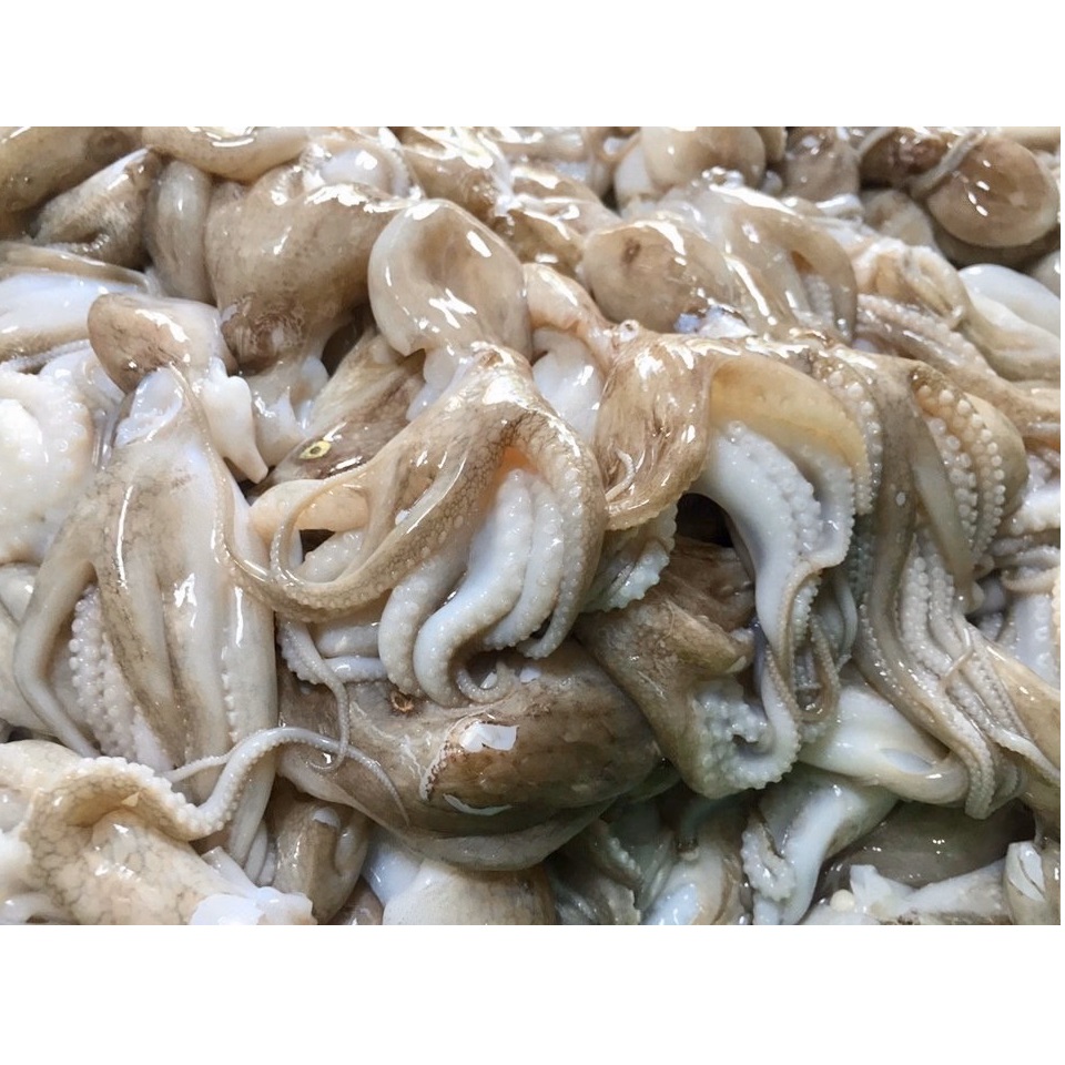 Best Selling Raw Whole Fresh Natural Frozen Seafood Food Air-Dried Body Cleaned Octopus For Cook From Private Label In Vietnam