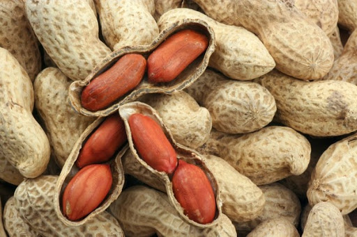 High quality Peanuts from VietNam