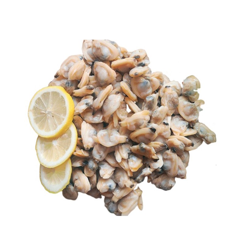 Factory Direct Sale Frozen Clams Without Shell Frozen Natural Clam Meat Made In Vietnam High Quality