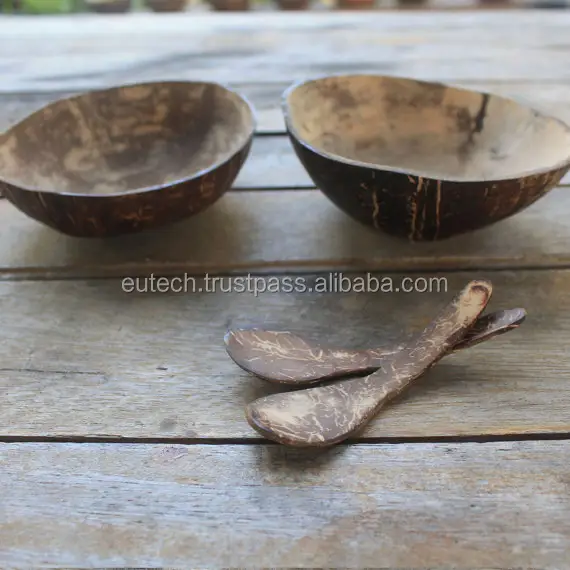 Vietnam coconut shell spoon with engraving logo