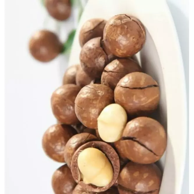 Best Selling Roasted Macadamia Nuts Style Packaging Origin Type Nut High Dried Snack , Good Quality, Healthy