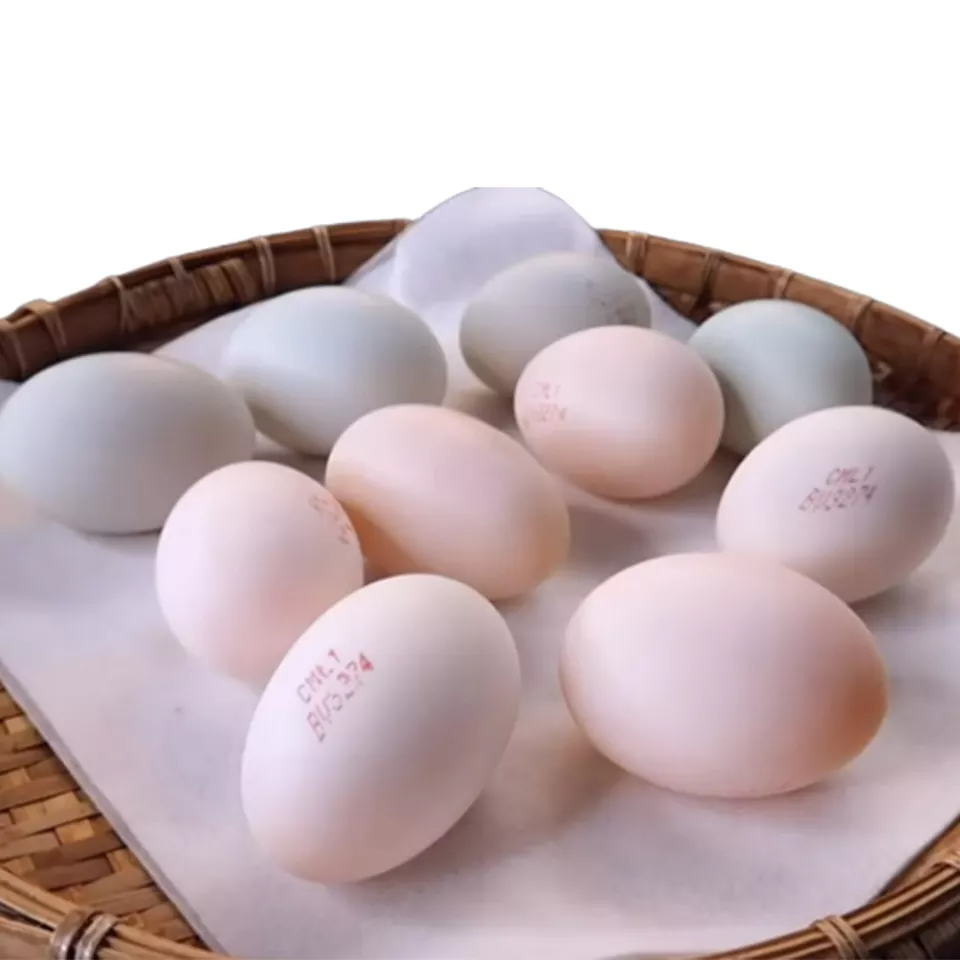 Wholesale Salted Duck Egg 50% Egg 15% Ashes 10% Salt 25% Water Good Price