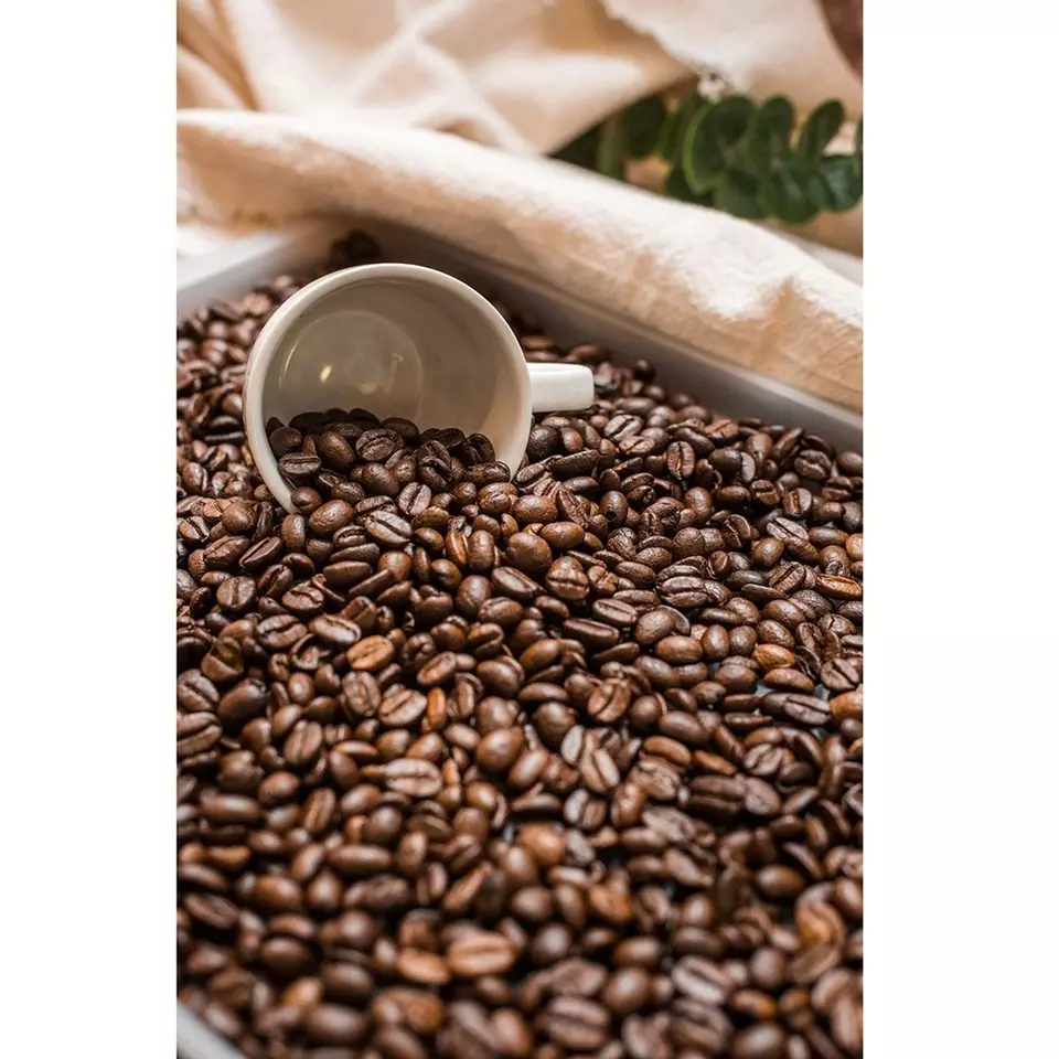Wholesale 2 Years Shelf Life Hessian Sacks Wholesale Arabica Coffee Beans with Packaging 60 kgs Weight from Vietnam
