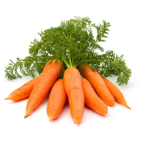 Fresh Carrot Cheap Price Low MOQ Best Quality Brand Manufacturer Hot Selling Vegetables OEM ODM Service Custom Logo Packages