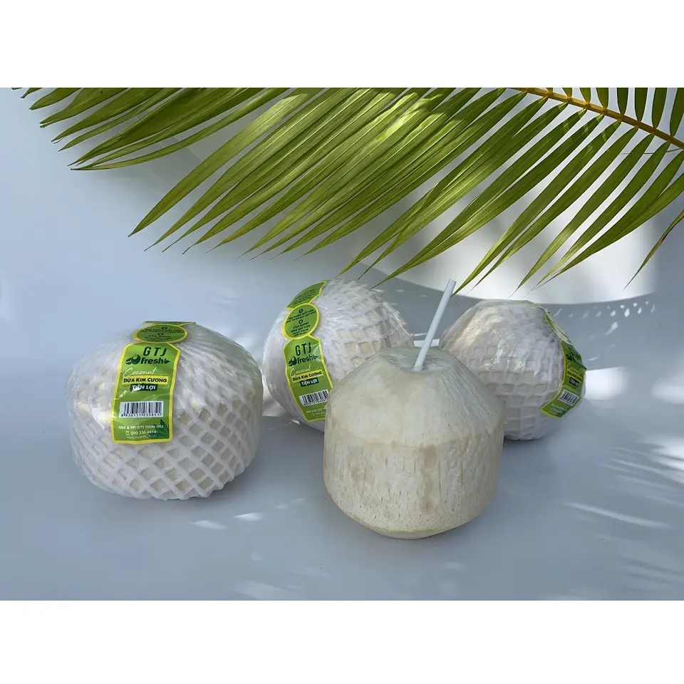 Tropical Fruit 100% Natural Top Favorite Sweet Drink Young Convenient Diamond Cut Shape Coconut From Vietnam