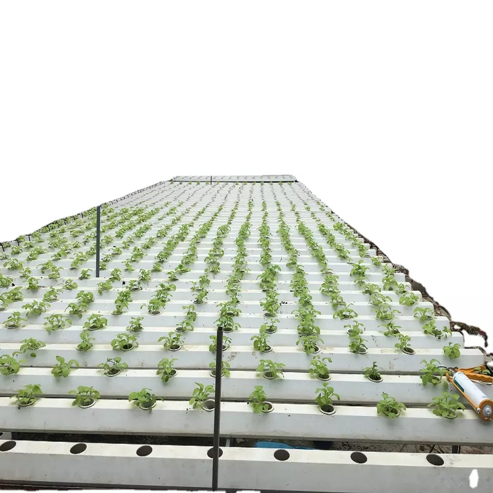 6 months Warranty High Quality Flexible New Product Manufacturing Horizontal Hydroponic Vegetable Growing Equipment