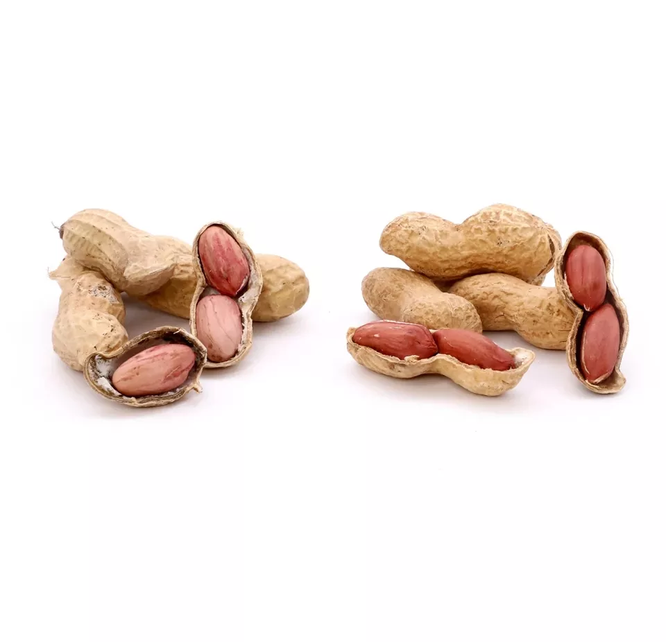 Best Selling 2022 Top Quality Rich in Protein Raw Organic Peanut from Vietnam Best Supplier Contact us for Best Price