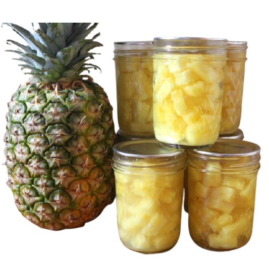 Vietnamese High Quality Canned Pineapple