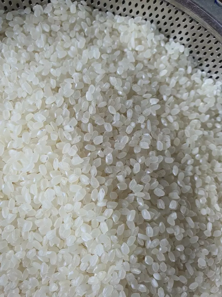 Made In Viet Nam Japonica Rice Sushi rice short rice