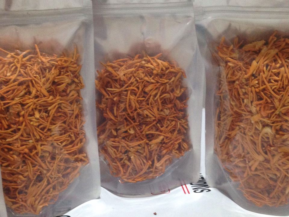 Dried Cordyceps 10 gram
