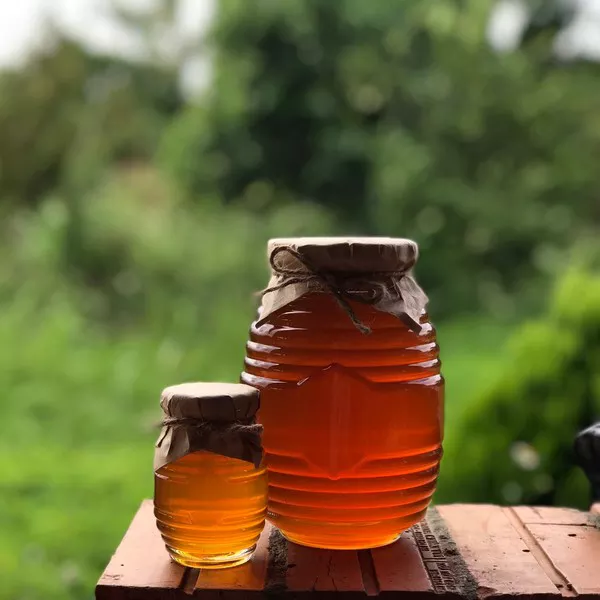 Honey Bee Vietnam Cheap price, good quality