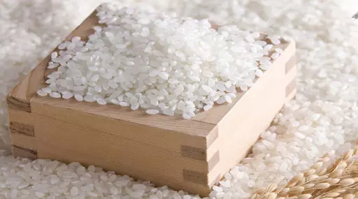 White rice Japonica Sushi rice short Top sale Made In Viet Nam