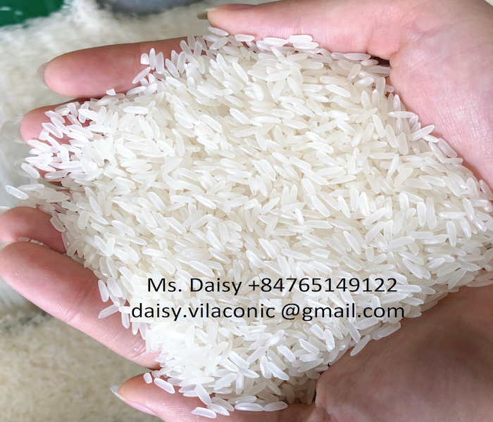 Old Crop No Stick Jasmine Rice From Vilaconic Factory