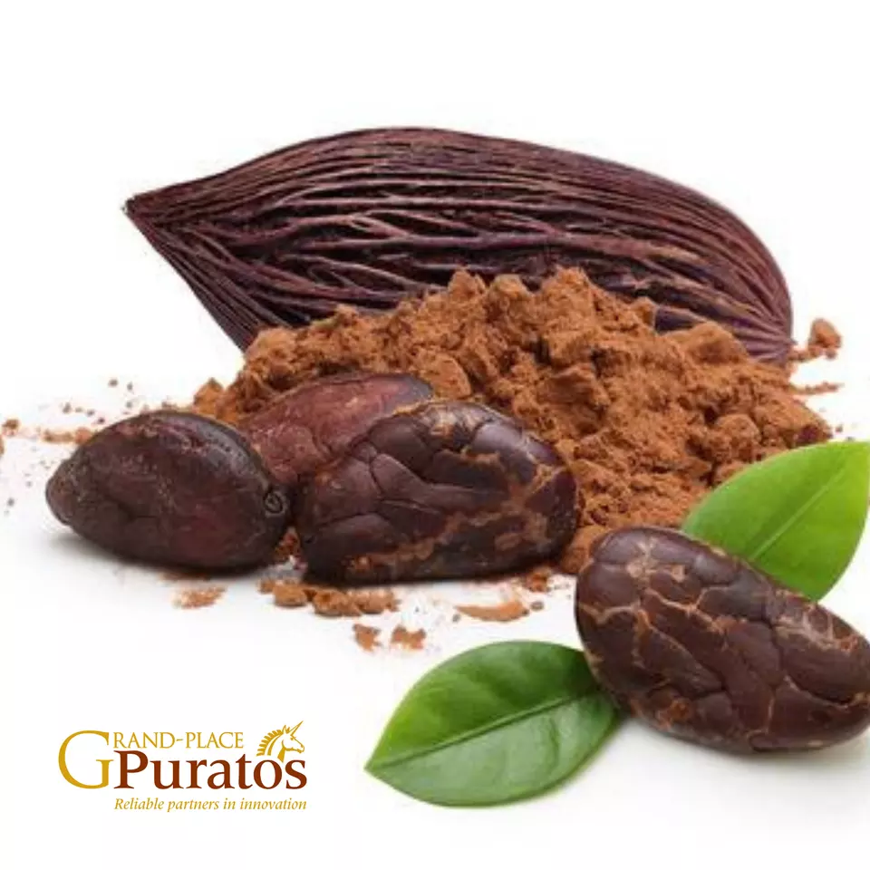 Asian Blend Flavor Cocoa Powder - Optimum Ingredients For Chocolate Production