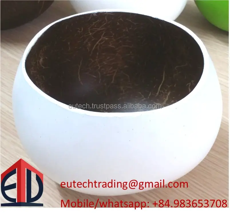Vietnam coconut shell bowl for food