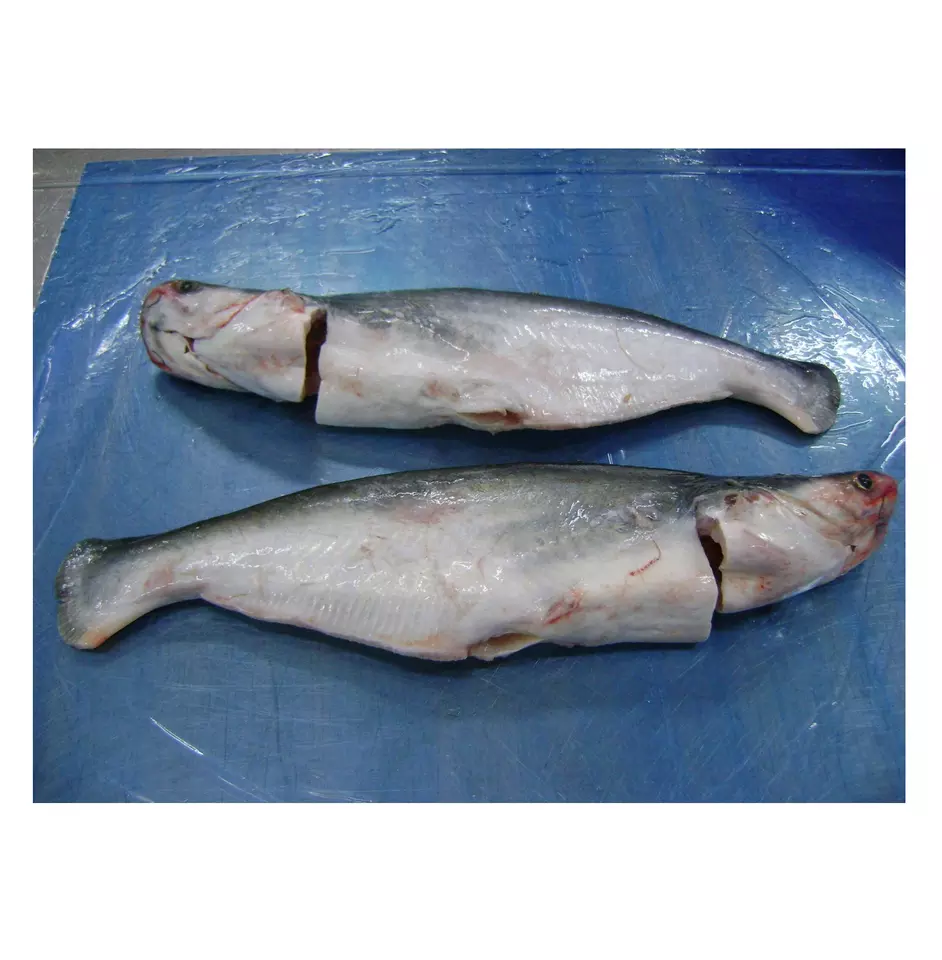 Frozen Pangasius Whole round, Gutted From VietNam