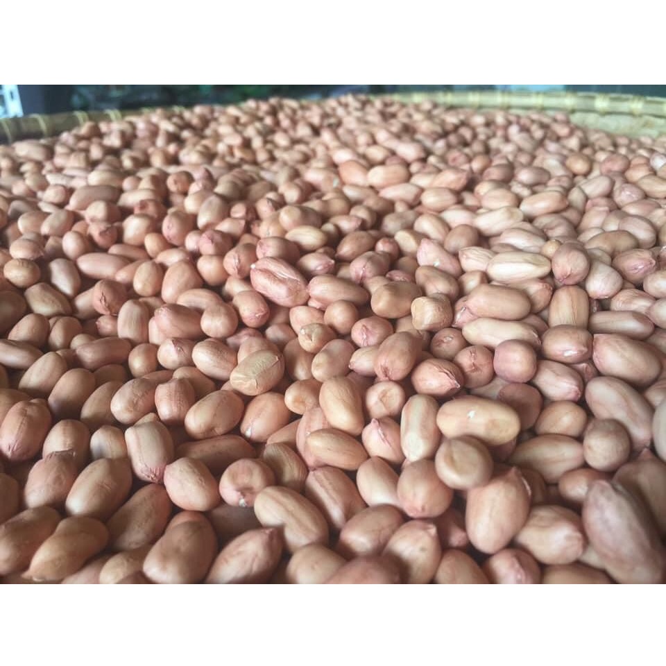 Newest Crop Delicious Fresh Light Pink Fatty Typical Taste Raw Dried Peanuts From Vietnam Manufacturer