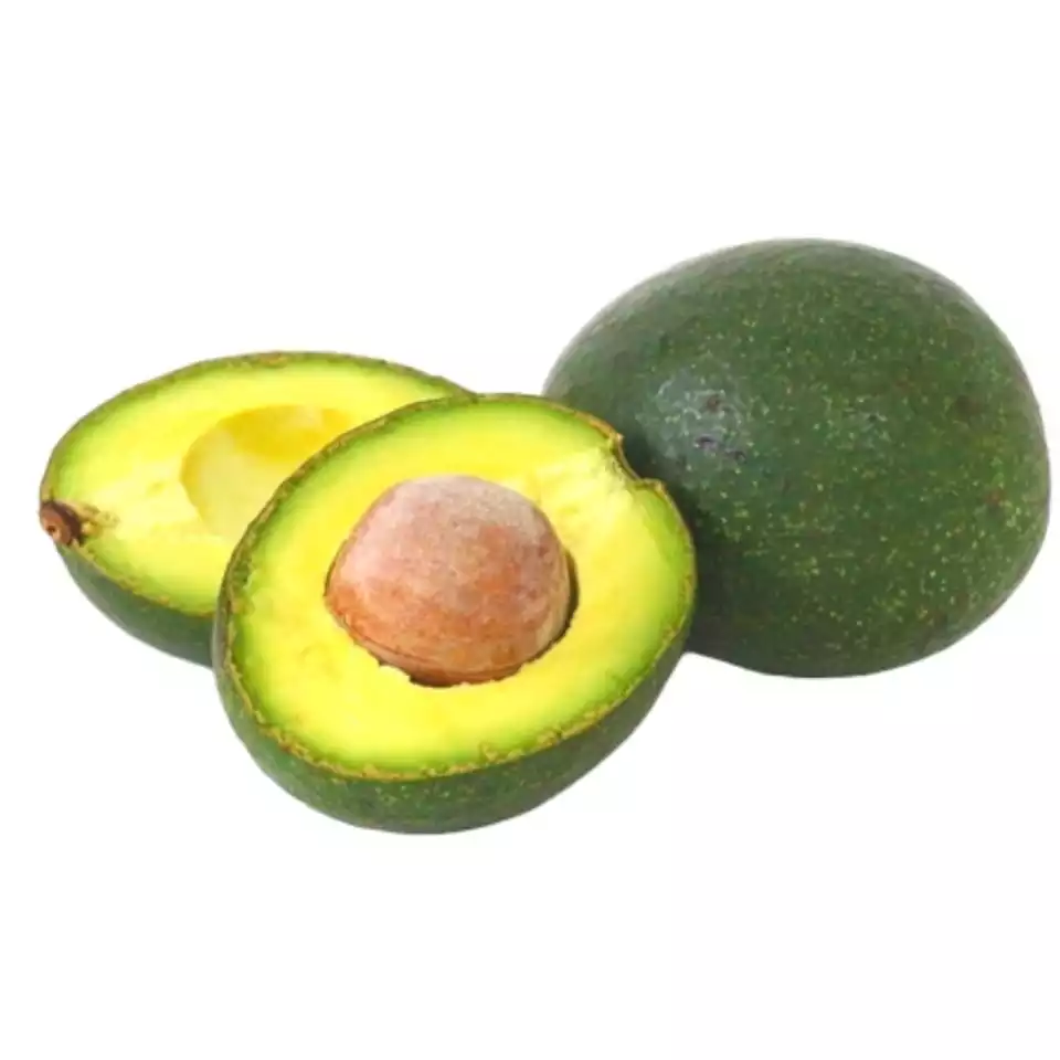 Fresh Avocado Made In Vietnam For Export With The Best Price Standard High
