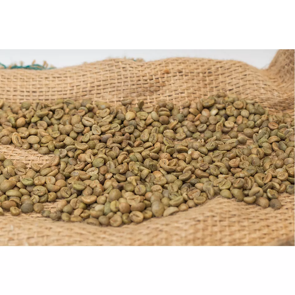 Premium Quality Green Coffee Bean Roasted Arabica Coffee Beans Super Quality for sale