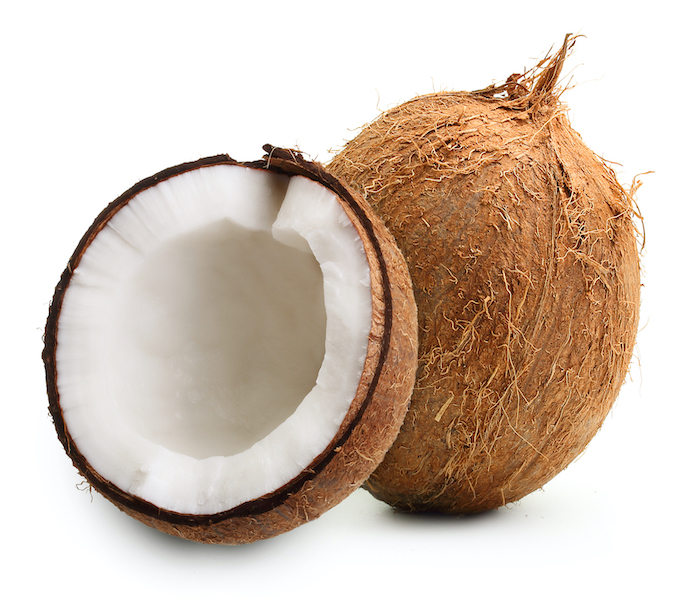 High Quality Fresh Coconut From VietNam