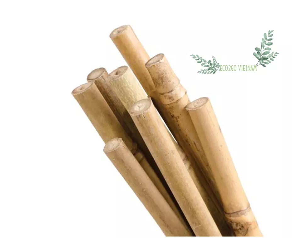 Wholesale Raw Material 2022 Bamboo Pole For Construction Vietnam From High Quality Bamboo And Good Price From Eco2go Vietnam
