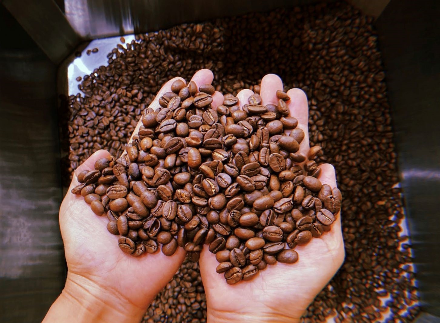 Machine Coffee Type Premium Quality Roasted Robusta Coffee Bean Export From Vietnam