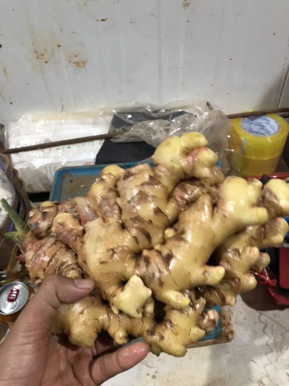 Cheapest Fresh Ginger for export, call +84963818434 whatsaapp contact