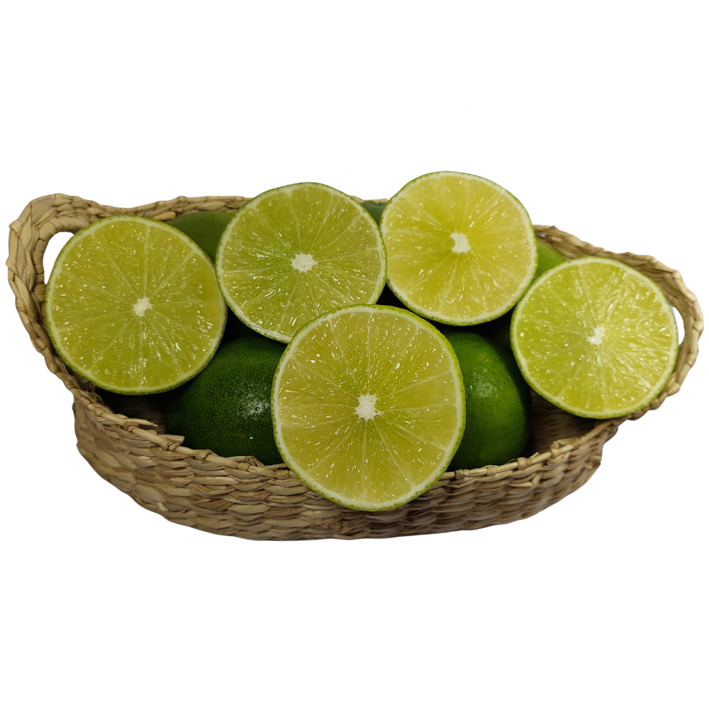 Fresh Seedless Lime Fresh Seedless Lemon Grown In Vietnam Of Good Quality