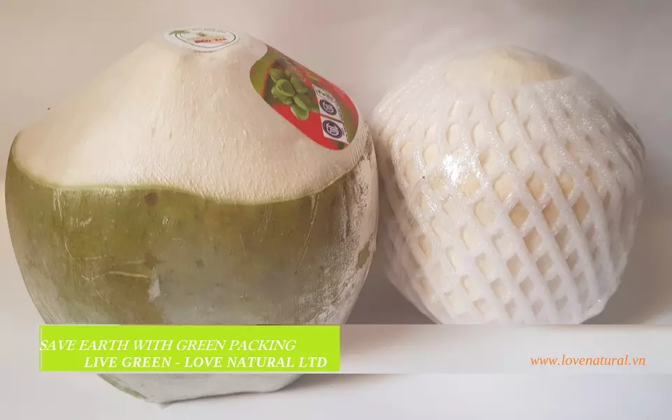 The best easy to open FRESH COCONUT 100% pure for good Health - Ben Tre young coconut