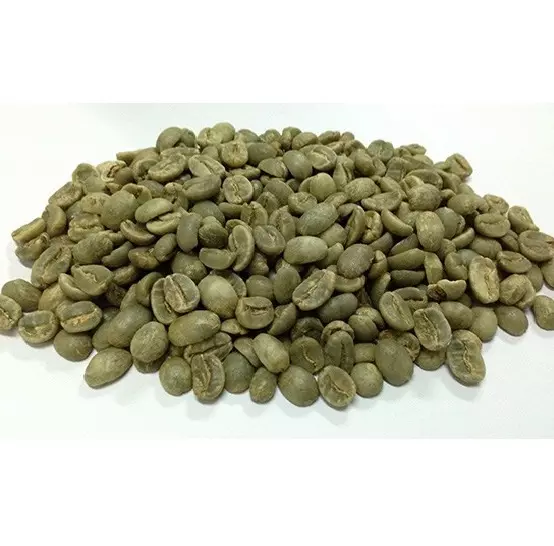 Arabica Catimor S18 Cau Dat Whole Bean Coffee Good Price For Export Hot Selling Brand Supplier From Vietnam OEM ODM Service