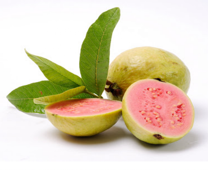 Vietnam Fresh Guava/High quality pink guava Newest 2022/Sunfruit