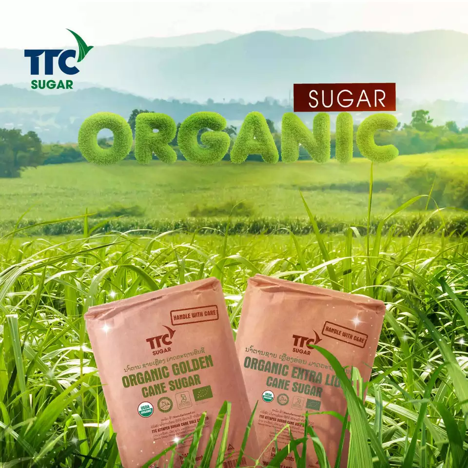 Professional Manufacture Sugar Organic Golden Cane Sugar Brown Sugar 100% Organic High Quality for Sale