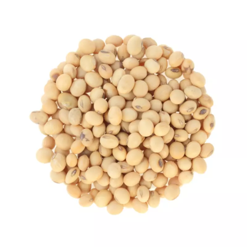 New 100% fresh high quality organic soya beans grow from vietnam