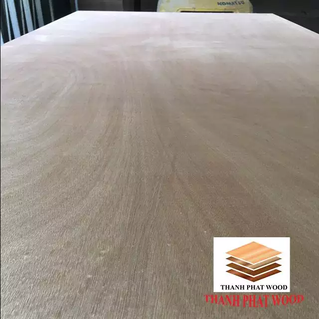 2019 Best price Eucalyptus/Acacia Wood Core Veneers For Okoume Face Plywood From Vietnam
