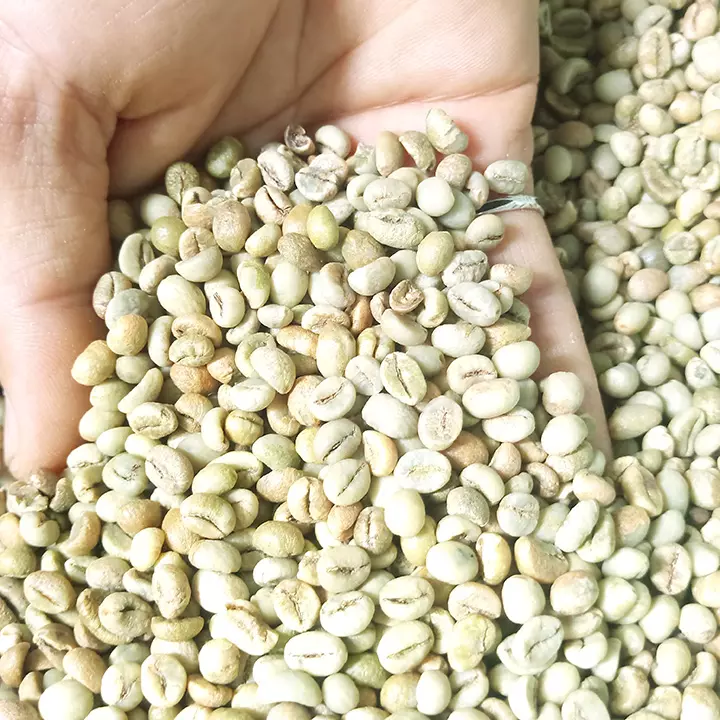 Vietnam Robusta green coffee beans 1000 gr