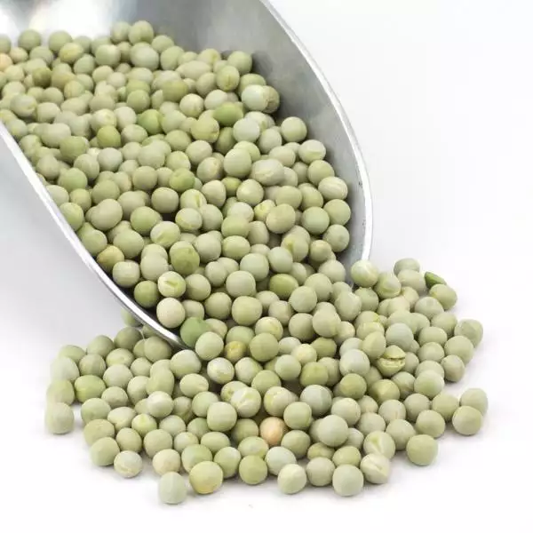 Good quality peas in bulk for food production pea protein made in Vietnam