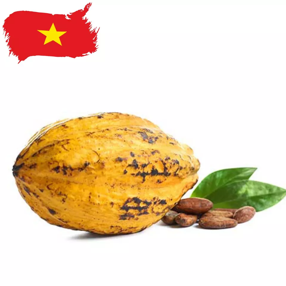 Fine Flavor Vietnam Mekong Cocoa Beans - CacaoTrace Cocoa Ingredients