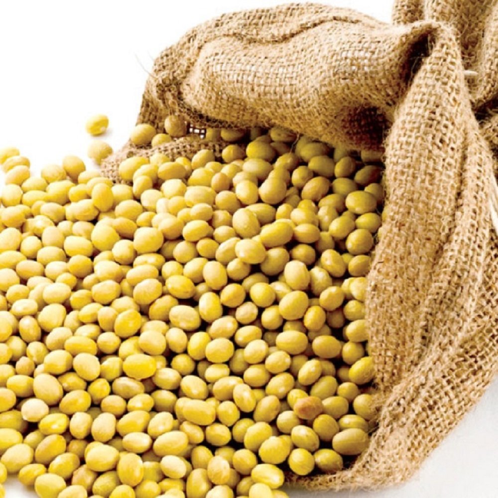 High Quality Soybeans Dried Organic from Vietnam Origin for Cooking or Eating