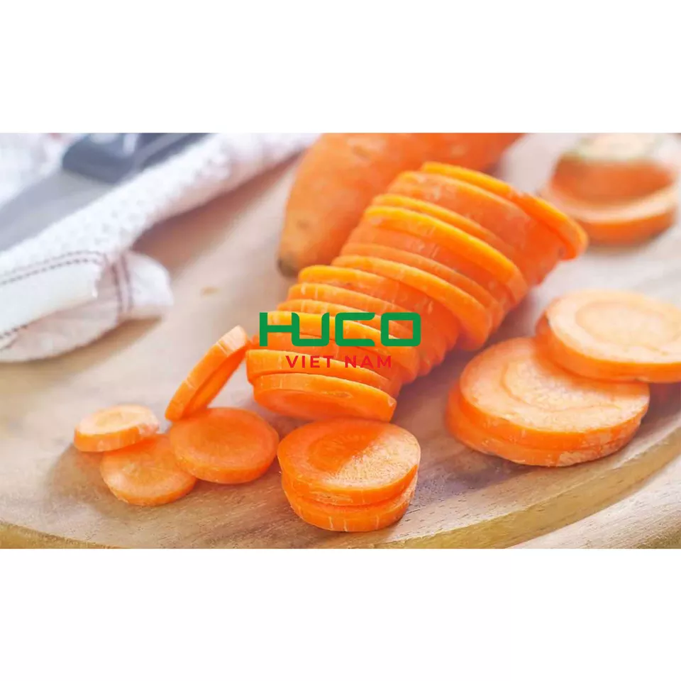 High quality carrot fresh vegetable new crop fresh carrot wash organic carrot frozen from Vietnam