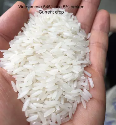 Cheapest price Vietnam white rice 5% broken (OM5451) best quality/ wsap +84 904 312 620